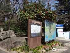 金刚公园-釜山