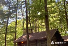 White Pines Forest State Park景点图片