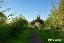 Barling Magna Wildlife Reserve景点图片