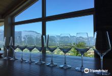 Sveti Martin Wines景点图片
