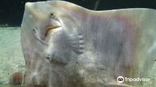 基尔水族馆-基尔