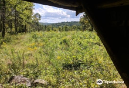 Buck Hill Conservation Dam景点图片