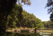 Remis Lake景点图片