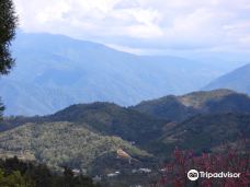Jinlong Mountain-南投