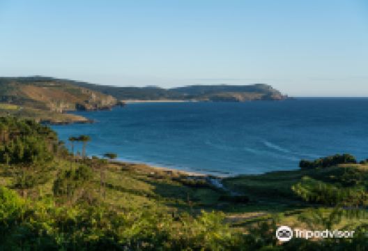 Praia De Nemina景点图片
