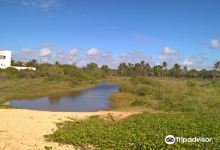 Praia da Lagoa Grande景点图片