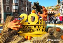 Movieland Park景点图片