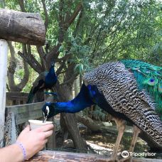 Discovery Farm Saint-André-滨海阿热莱斯