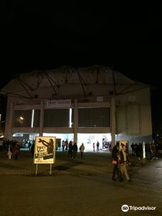 Teatro Mario Apollonio-瓦雷泽