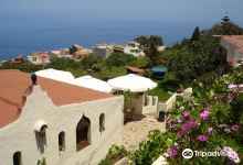 Finca Vivecanarias Natural景点图片