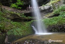 Niogataki Falls景点图片