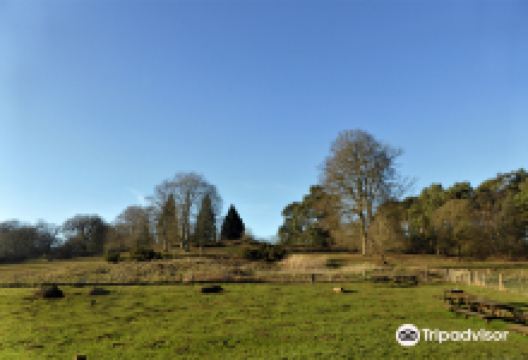 Rushmere Country Park景点图片