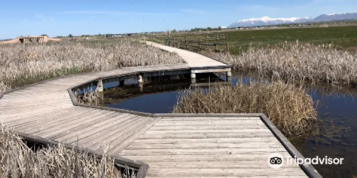 Great Salt Lake Shorelands Preserve