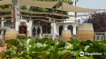 Codorniu