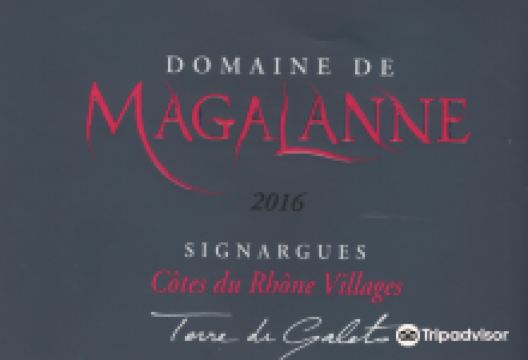 Domaine de Magalanne景点图片