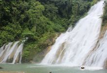 Bega Falls景点图片