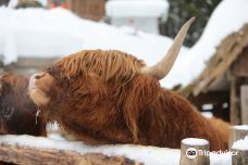 Hutsul Land Bukovel-波利亚尼齐亚