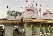 Shri Mata Mansa Devi Mandir, Panchkula景点图片