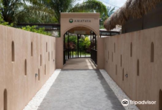 甲米咸水温泉景点图片