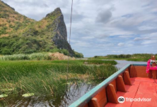 Bueng Bua Nature Observation Center景点图片
