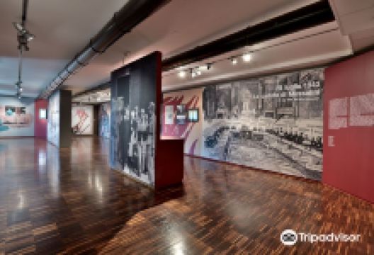 MuSa - Museo Di Salo景点图片