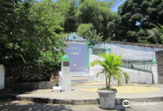 Fonte da Bica景点图片