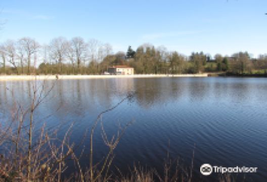 L’Étang Aujardière L’Etang Aujardiere景点图片