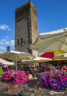 Metternich Castle-拜尔施泰因