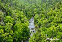 Linville Falls景点图片