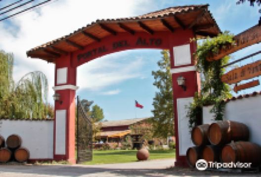 Portal del Alto Vineyard景点图片