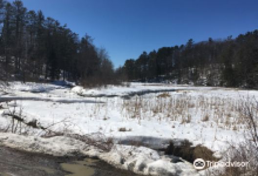 Mast Landing Sanctuary景点图片