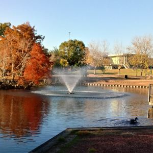 Lafayette