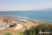 Neve Midbar Beach景点图片