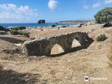 巴埃洛克劳狄亚-塔里法