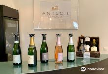 Antech景点图片