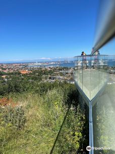 Pikkerbakken-腓特烈港