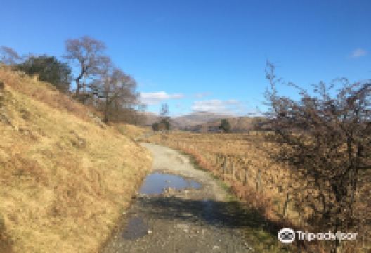 Lake District Bikes购物图片