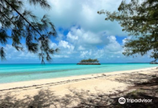 Gaulding's Cay景点图片