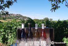 Vincent Grall Vigneron景点图片