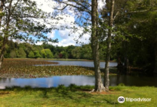 Lake Te Ko Utu (Te Koutu Lake)景点图片
