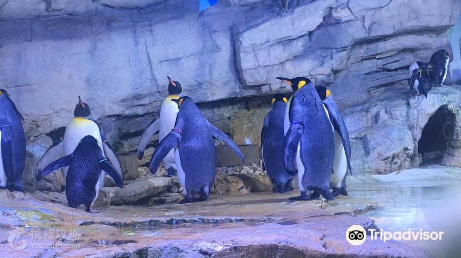 海拉布倫動物園