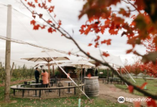 Napoleone Cider & Orchard Bar景点图片