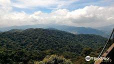 Gunung Brinchang-伯恩仓