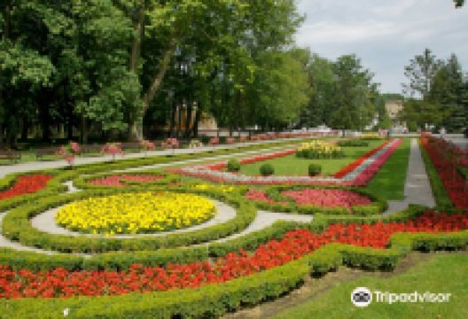 Solankowy Park景点图片