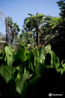 Parque Ecologico Las Aguilas del Teide-阿罗纳