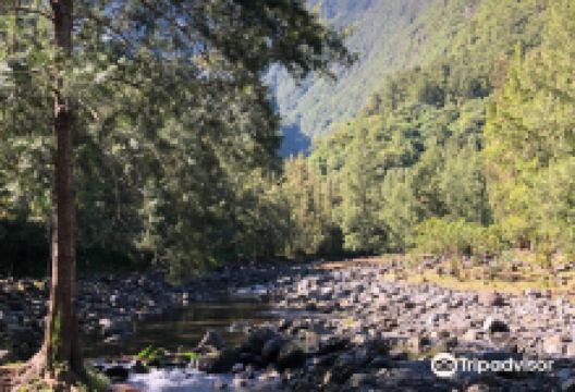 Foret de Bois Blanc景点图片