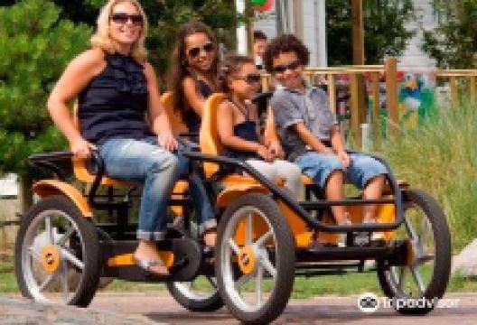 Veloking购物图片