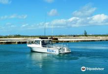 Aqua TCI购物图片