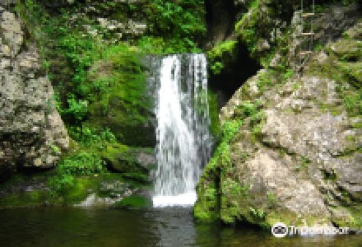 Ward Falls景点图片