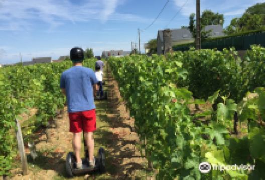 e-FOLLOW me购物图片